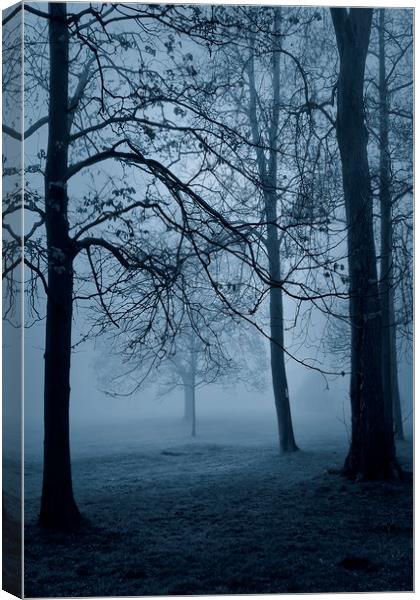  Blue Mist Canvas Print by Svetlana Sewell