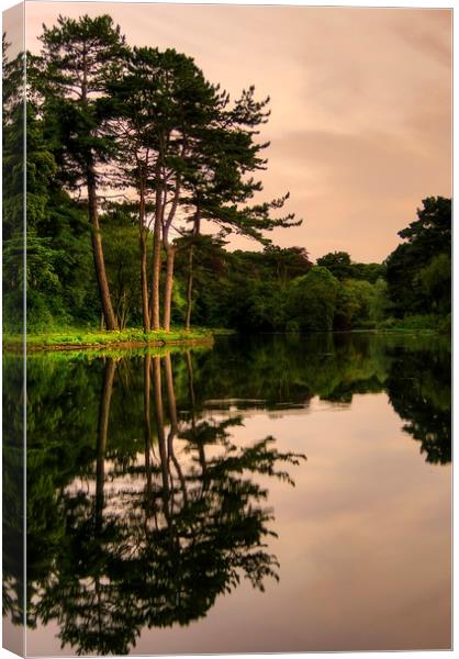  Evening Reflections Canvas Print by Svetlana Sewell
