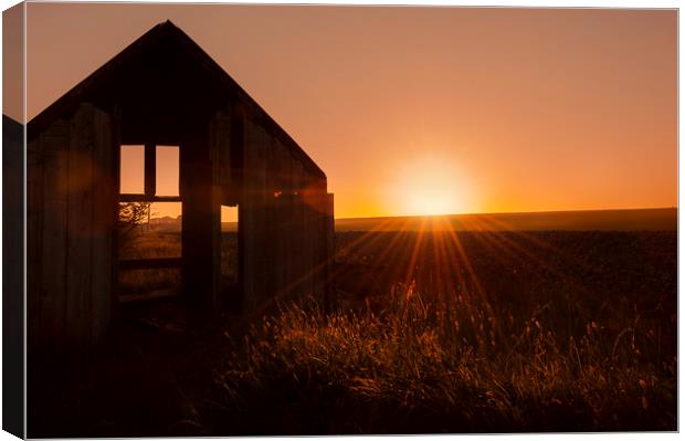 Evening Rays Canvas Print by Svetlana Sewell