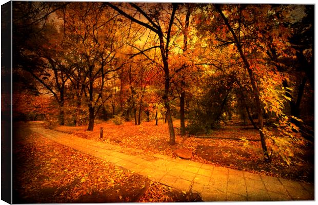  Through the Park Canvas Print by Svetlana Sewell