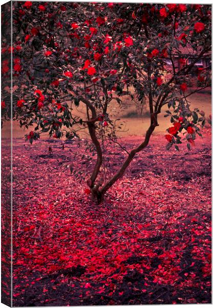  Bleeding Tree Canvas Print by Svetlana Sewell