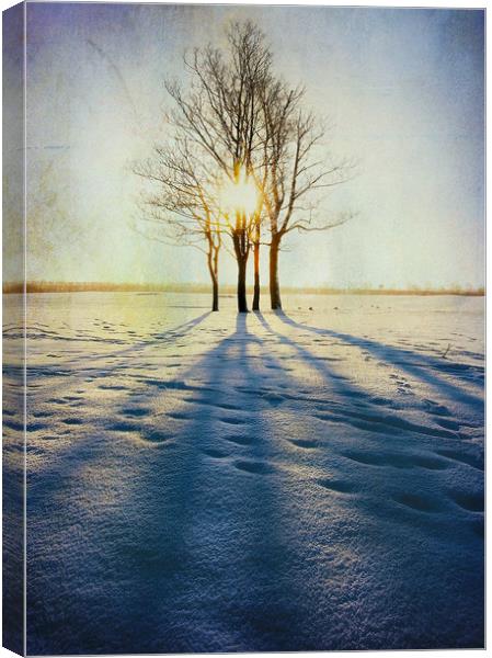  Winter Sun Canvas Print by Svetlana Sewell