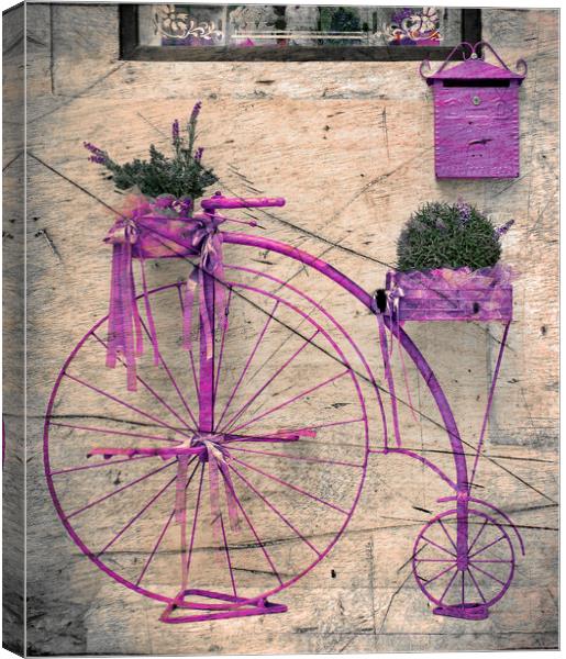  Lavender Bicycle  Canvas Print by Svetlana Sewell