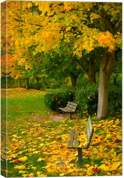  Autumn Bench Canvas Print by Svetlana Sewell