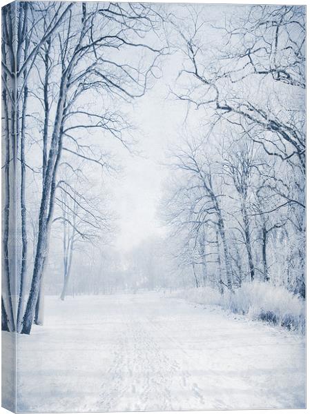  Winter Path Canvas Print by Svetlana Sewell