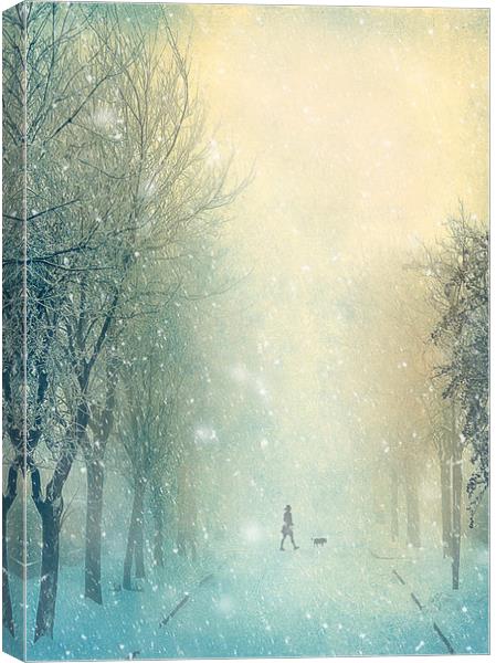 Winter Stroll Canvas Print by Svetlana Sewell