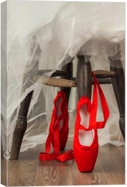 Ballet Shoes Canvas Print by Svetlana Sewell