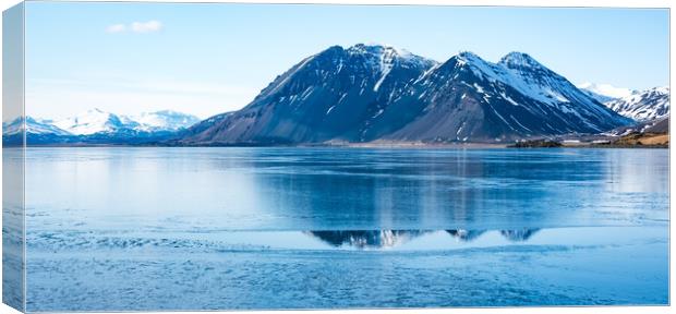 Frozen Lake Canvas Print by Svetlana Sewell