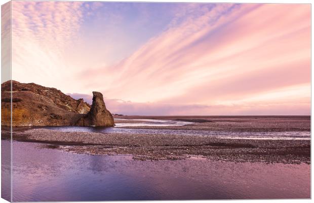 Pink Sunset Canvas Print by Svetlana Sewell