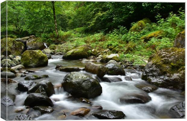 River Canvas Print by Svetlana Sewell