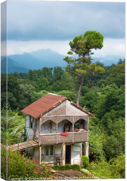 Living in a Mountains Canvas Print by Svetlana Sewell