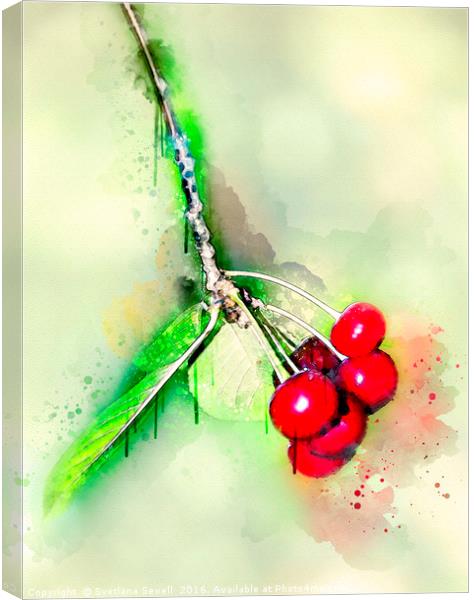 Cherries Canvas Print by Svetlana Sewell