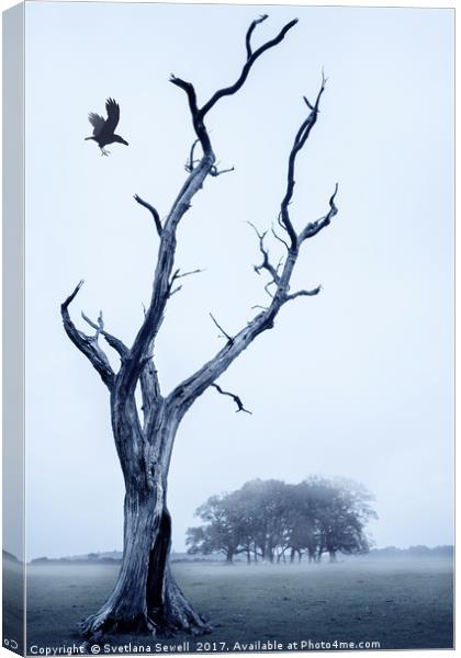 The Crow Canvas Print by Svetlana Sewell