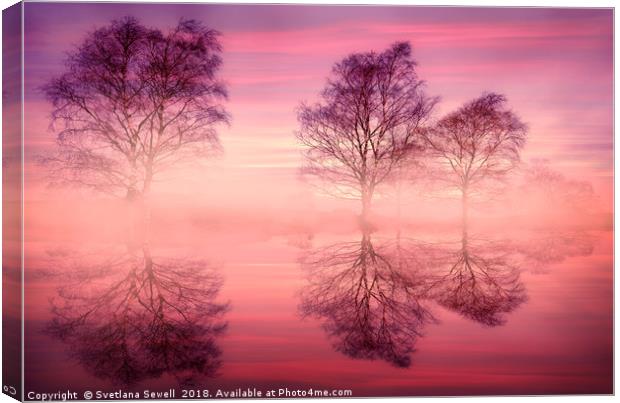 Pink Fog Canvas Print by Svetlana Sewell