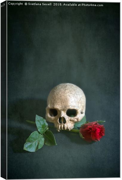 Skull and red rose Canvas Print by Svetlana Sewell