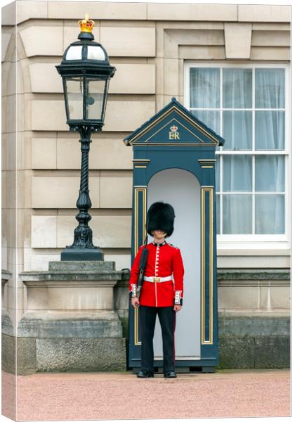Guard to the Buckingham Palace Canvas Print by Svetlana Sewell