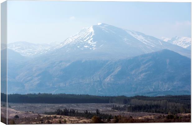 Mountain  Canvas Print by Svetlana Sewell