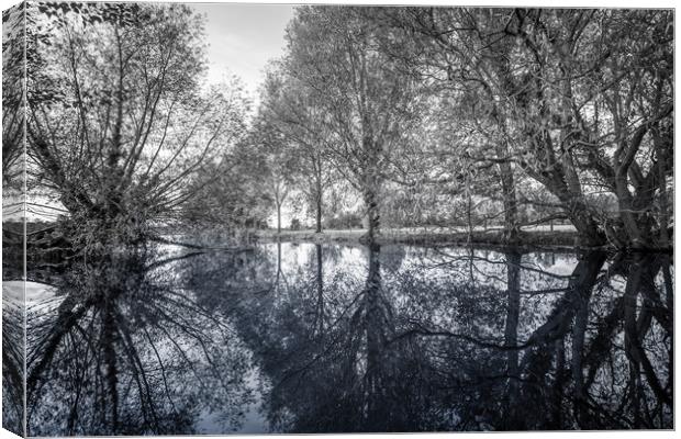 Reflections of Trees Canvas Print by Svetlana Sewell