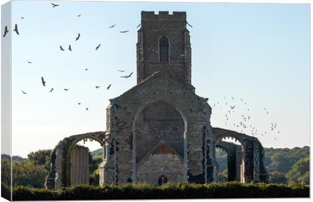 Covehithe Abbey Canvas Print by Svetlana Sewell