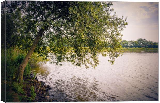 Lake Scenery Canvas Print by Svetlana Sewell