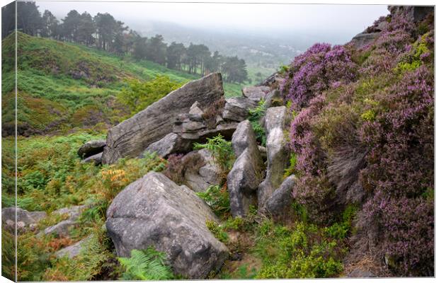 West Yorkshire Landscape Canvas Print by Svetlana Sewell