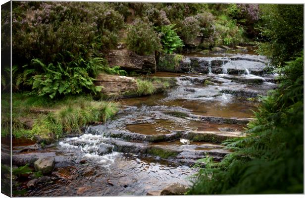 River Steps Canvas Print by Svetlana Sewell