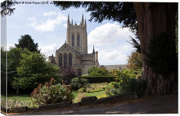 St Edmundsbury Cathedral Canvas Print by Mark Roper