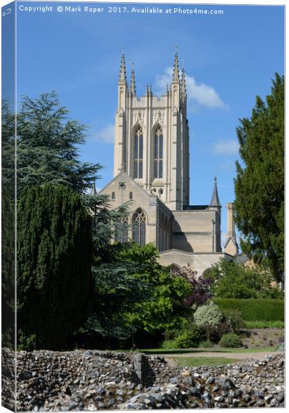 St Edmundsbury Cathedral with abbey wall ruins Canvas Print by Mark Roper