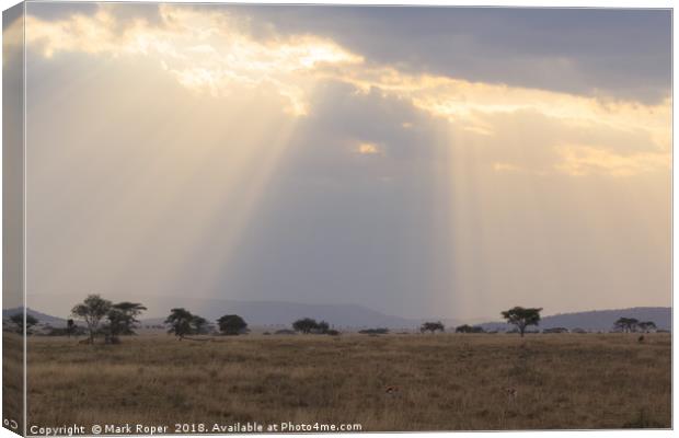 Rays of sunlight shining on the Serengeti savanna Canvas Print by Mark Roper
