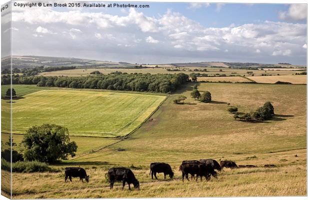 Cissbury Ring, The South Downs Canvas Print by Len Brook