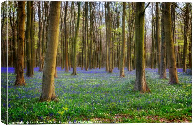 Bluebell Woods Canvas Print by Len Brook