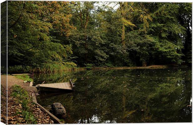  Reflection on the Pond Canvas Print by Lauren Pell