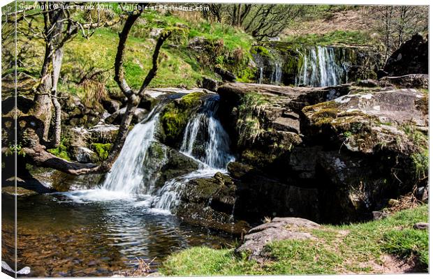 mystic falls three Canvas Print by luke perez