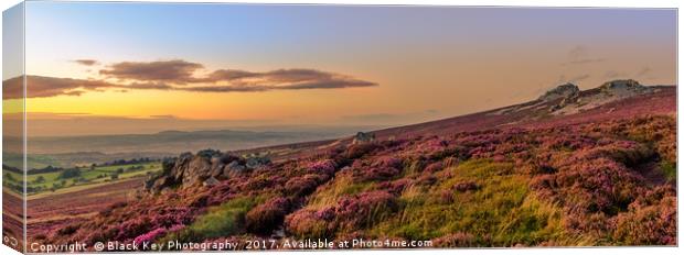 Sunset over the Heather, Stiperstones, Shropshire Canvas Print by Black Key Photography