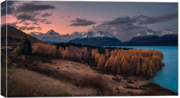 Autumn Colours, Lake Pukaki Canvas Print by Black Key Photography