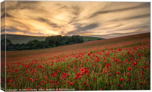 Poppy field sunset Canvas Print by Emma Varley