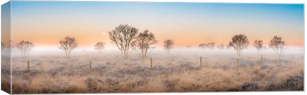 Staffordshire moorland dawn Canvas Print by Michael Newton