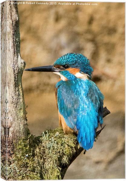  The fisher King Canvas Print by Ravenswood Imagery