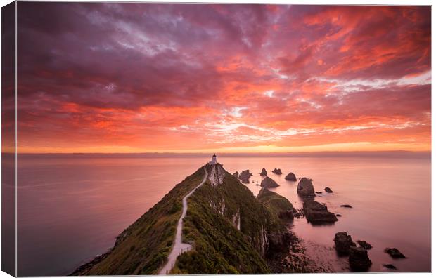 Nugget Point Canvas Print by Sandra Kepkowska