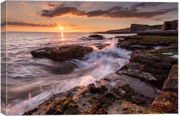 Nash Point Canvas Print by Sandra Kepkowska