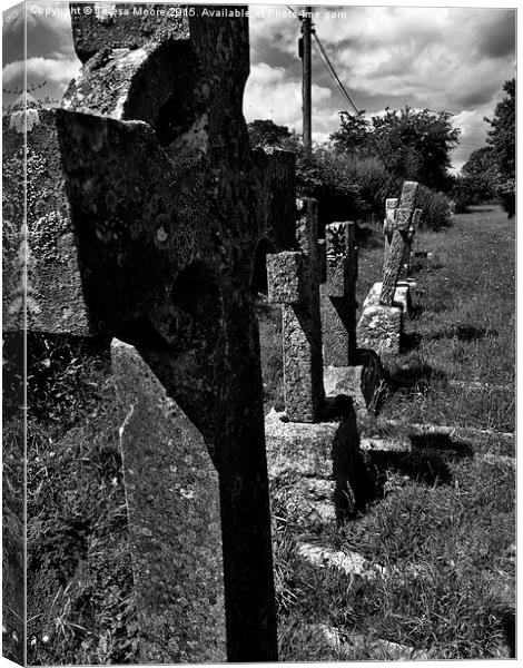  Row of headstones - Salwayash churchyard Canvas Print by Teresa Moore