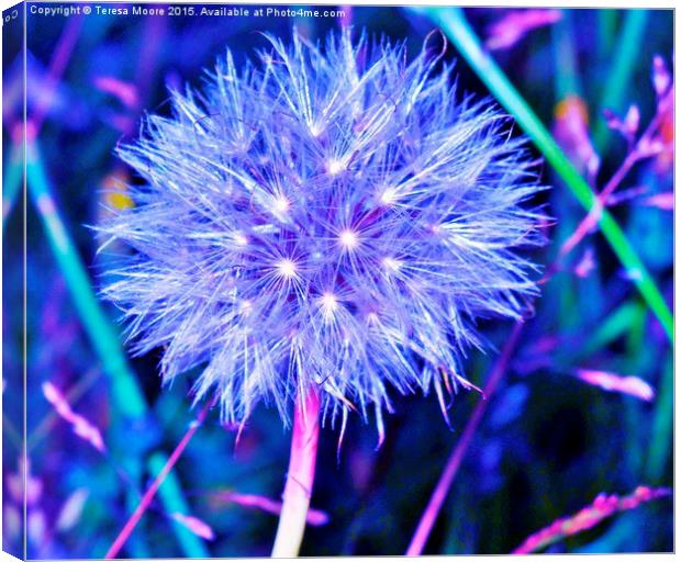  Stella - A Dandelion at night Canvas Print by Teresa Moore