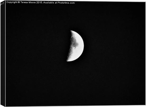  Half moon taken over Salwayash Canvas Print by Teresa Moore