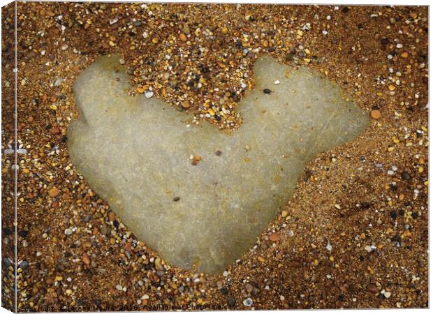                                Heart of Stone Canvas Print by Teresa Moore