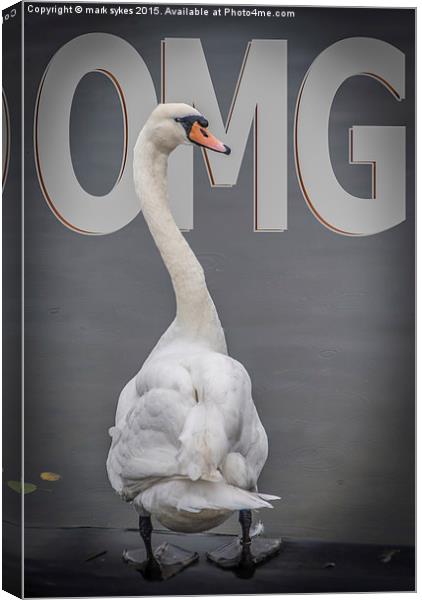  Shocked Swan Canvas Print by mark sykes