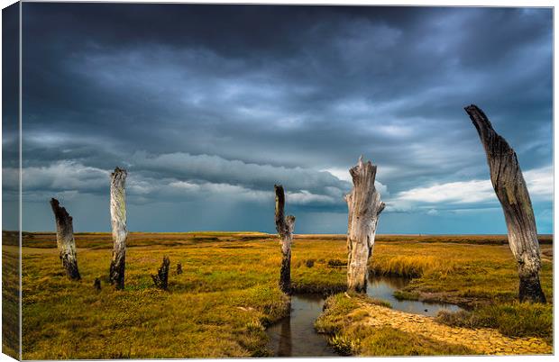  Stormy over head Canvas Print by Chris Lewis