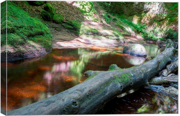  The Devils pulpit Canvas Print by Jade Scott