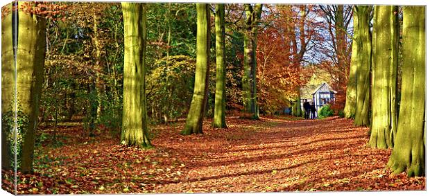  Autumn leaves at The Old Hall Canvas Print by Rob Medway