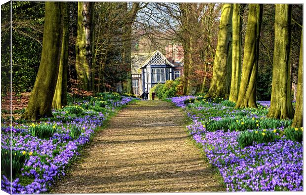 The Old Hall in Spring Canvas Print by Rob Medway