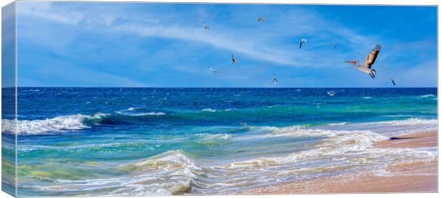 indian ocean beach scene Canvas Print by tim miller